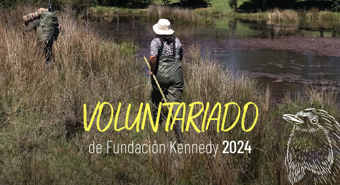 Únete a nuestro Programa de Voluntariado y protege los humedales de Chile